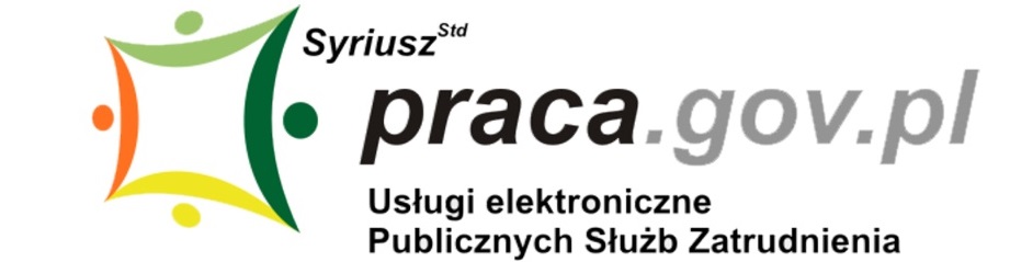 Elektroniczne usługi