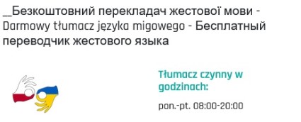Zdjęcie artykułu Tłumacz języka migowego
