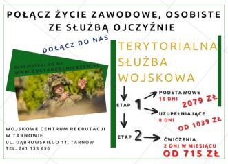 Zdjęcie artykułu Terytorialna Służba Wojskowa